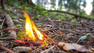 Incendie à Castelo de Paiva avec plusieurs fronts actifs