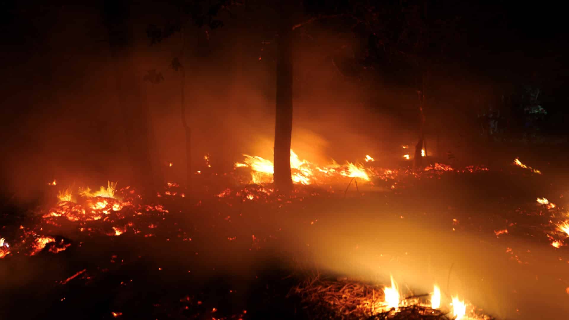 Incendie à Cinfães avec trois fronts actifs mobilise plus de 130 opérateurs.