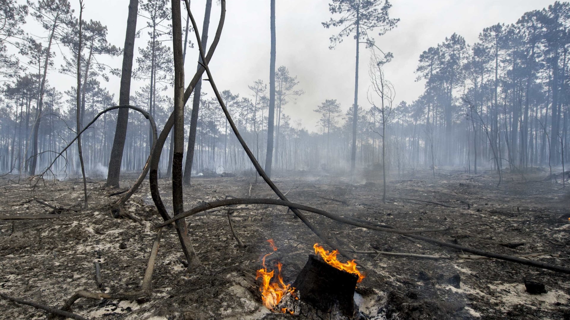 Incendie à Cinfães en phase de résolution