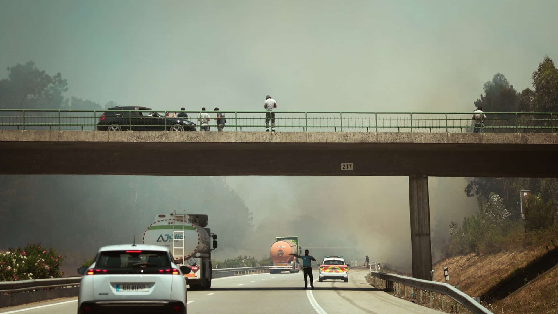 Incendie à Pombal en cours de résolution et l'A1 a été rouverte