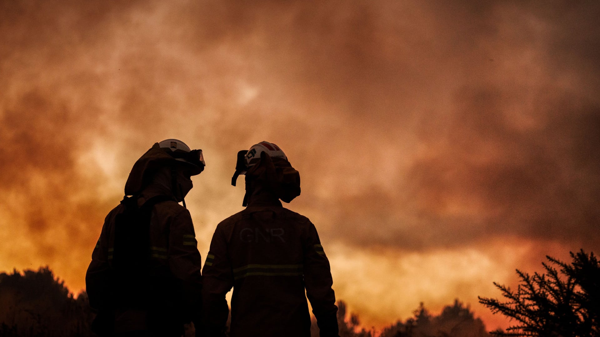 Incendie à Ponte da Barca combattu par plus de 60 opérateurs.