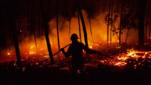 Incendie dans les communes d'Avis et de Sousel considéré comme maîtrisé.