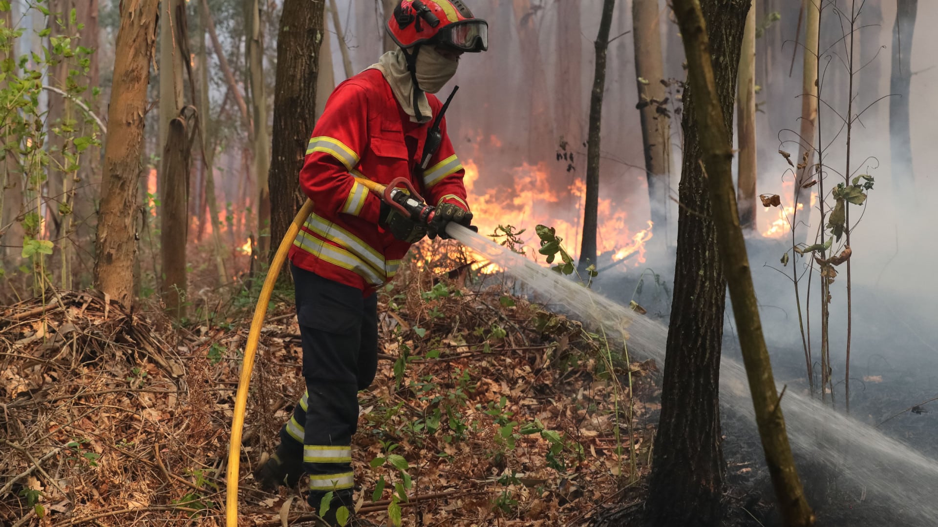 Incendie maîtrisé dans le comté d'Alandroal