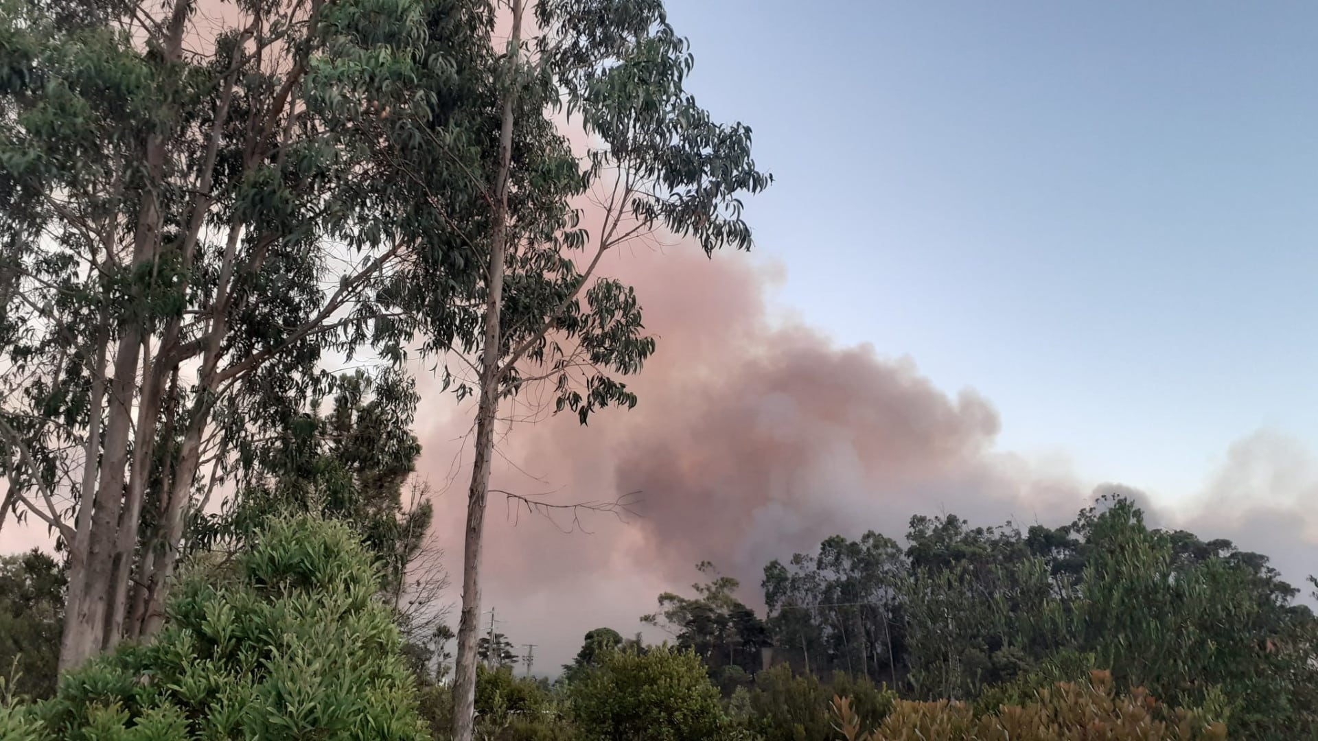 Incendie sur le bord de route après avoir eu "froid" en dormant sur place. Il a été arrêté.