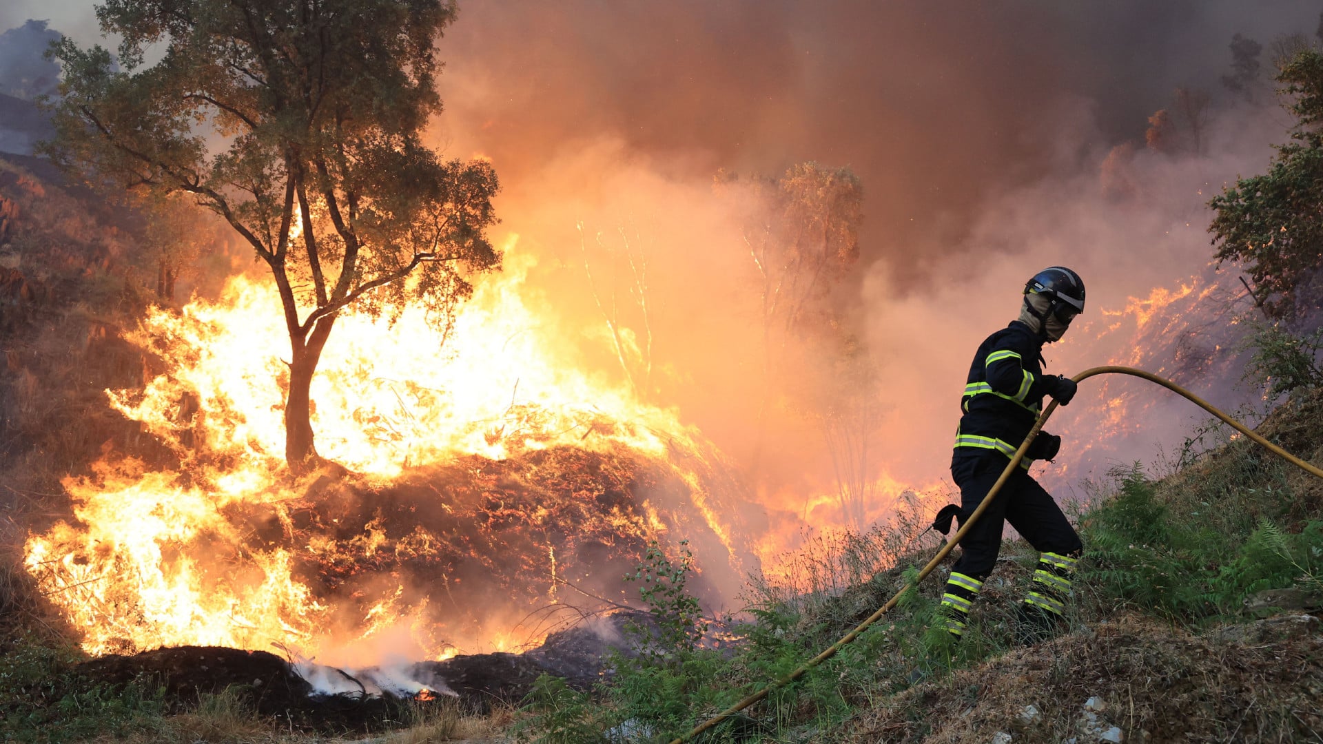 Incendies. Feu d'Arouca a commencé près de la voie municipale.