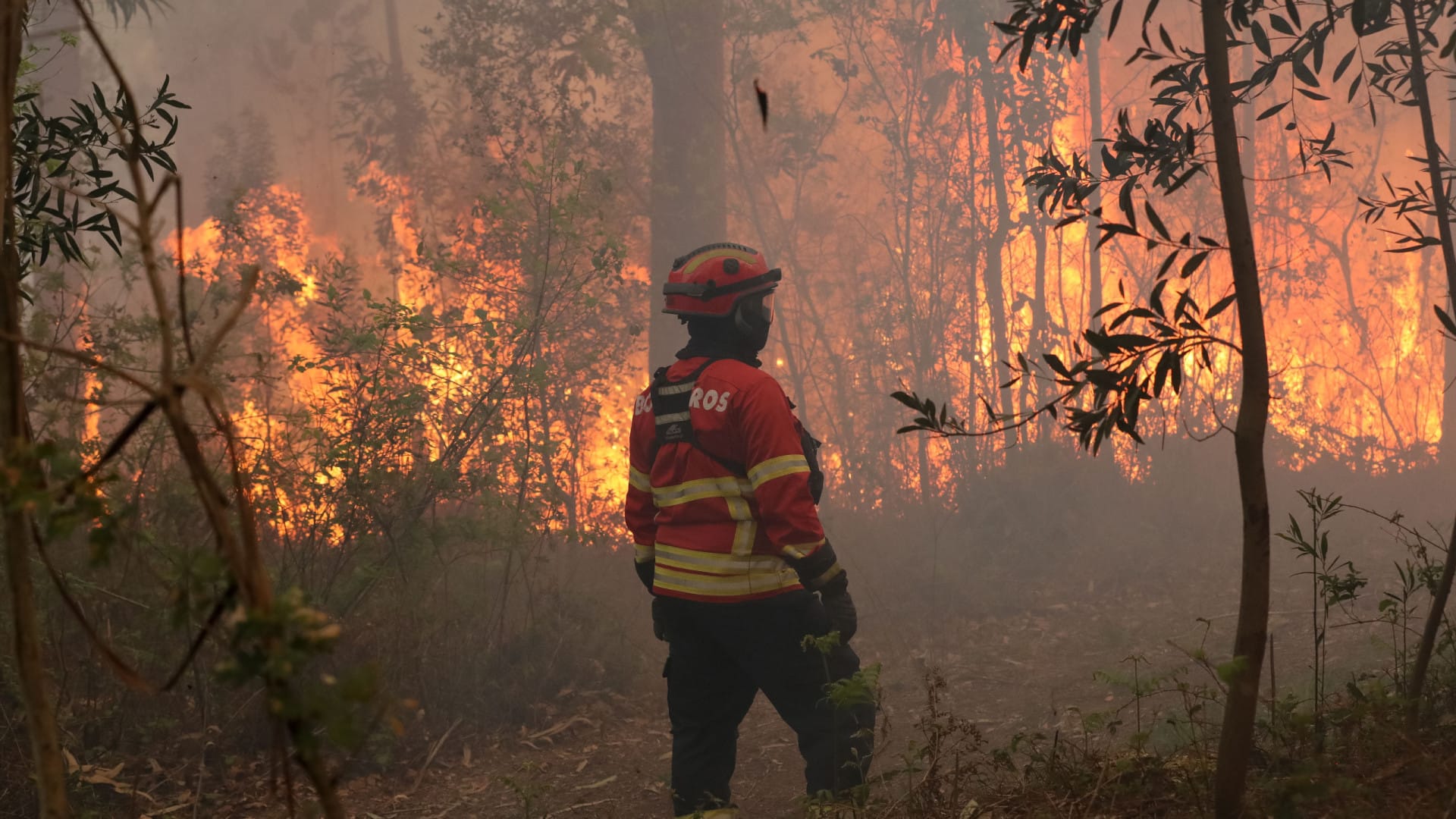 Incendies ? Surface brûlée (cette année) a presque triplé par rapport à 2024.