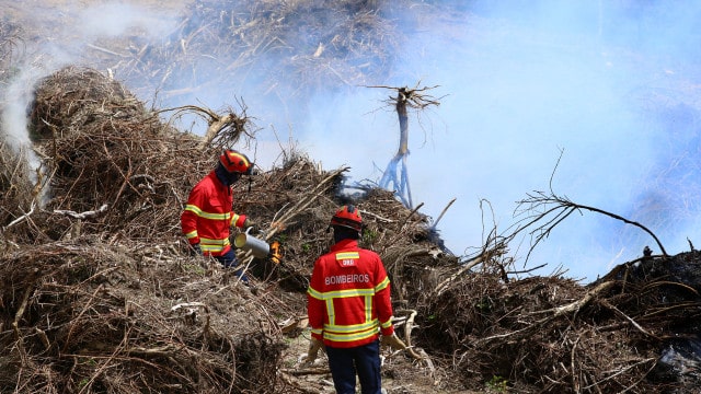 La chaleur est là, mais est-elle venue pour rester ? La prévision pour le mois prochain.