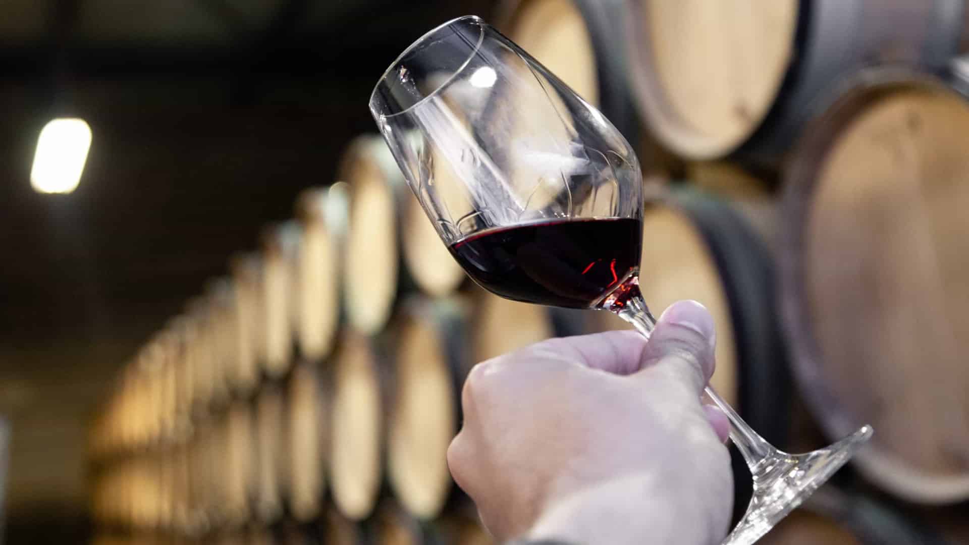 La Commission européenne signale une baisse historique de la production de vin.