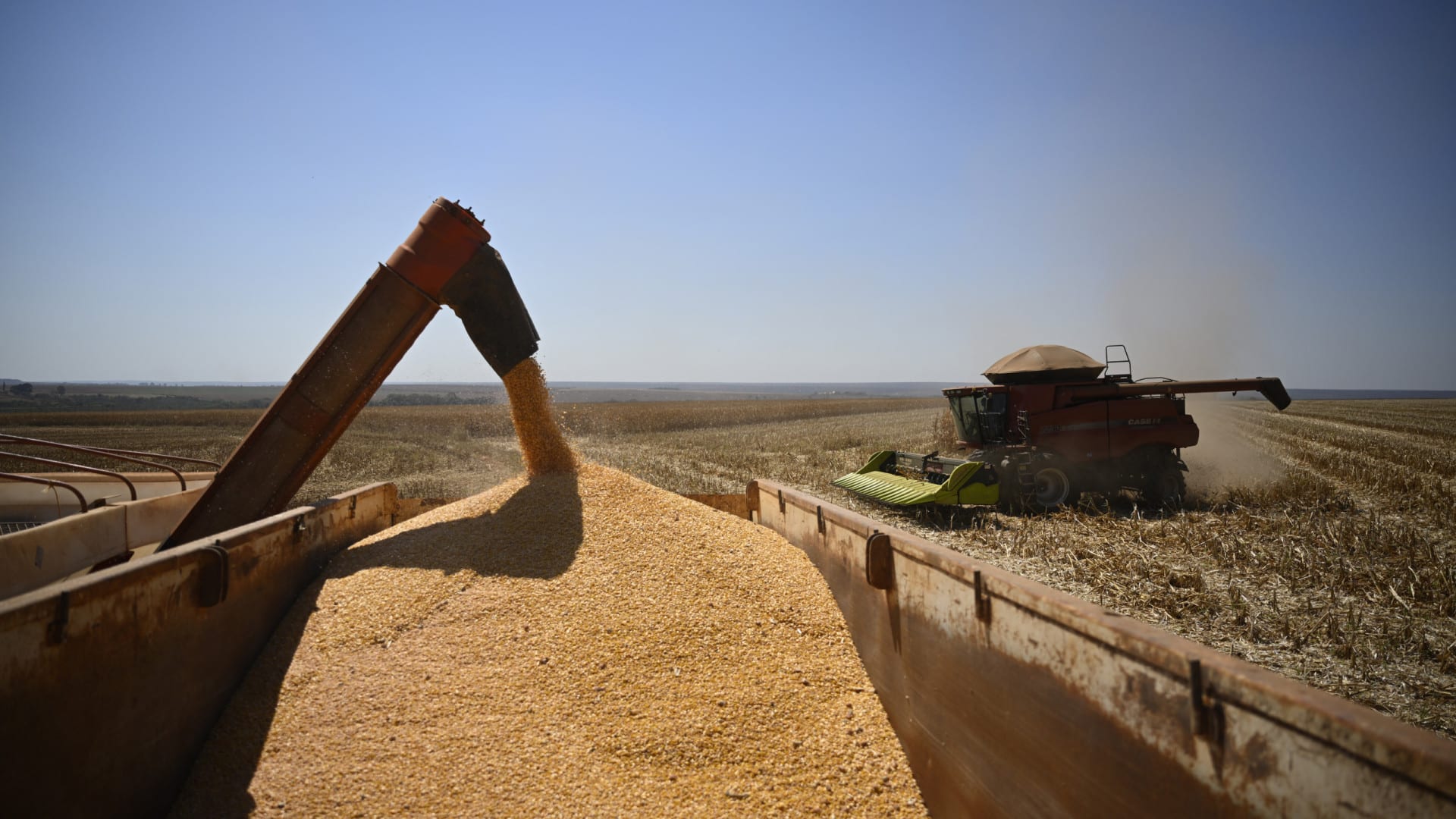La dépendance externe du Portugal augmente en 2024 pour les céréales, produits laitiers et fruits.