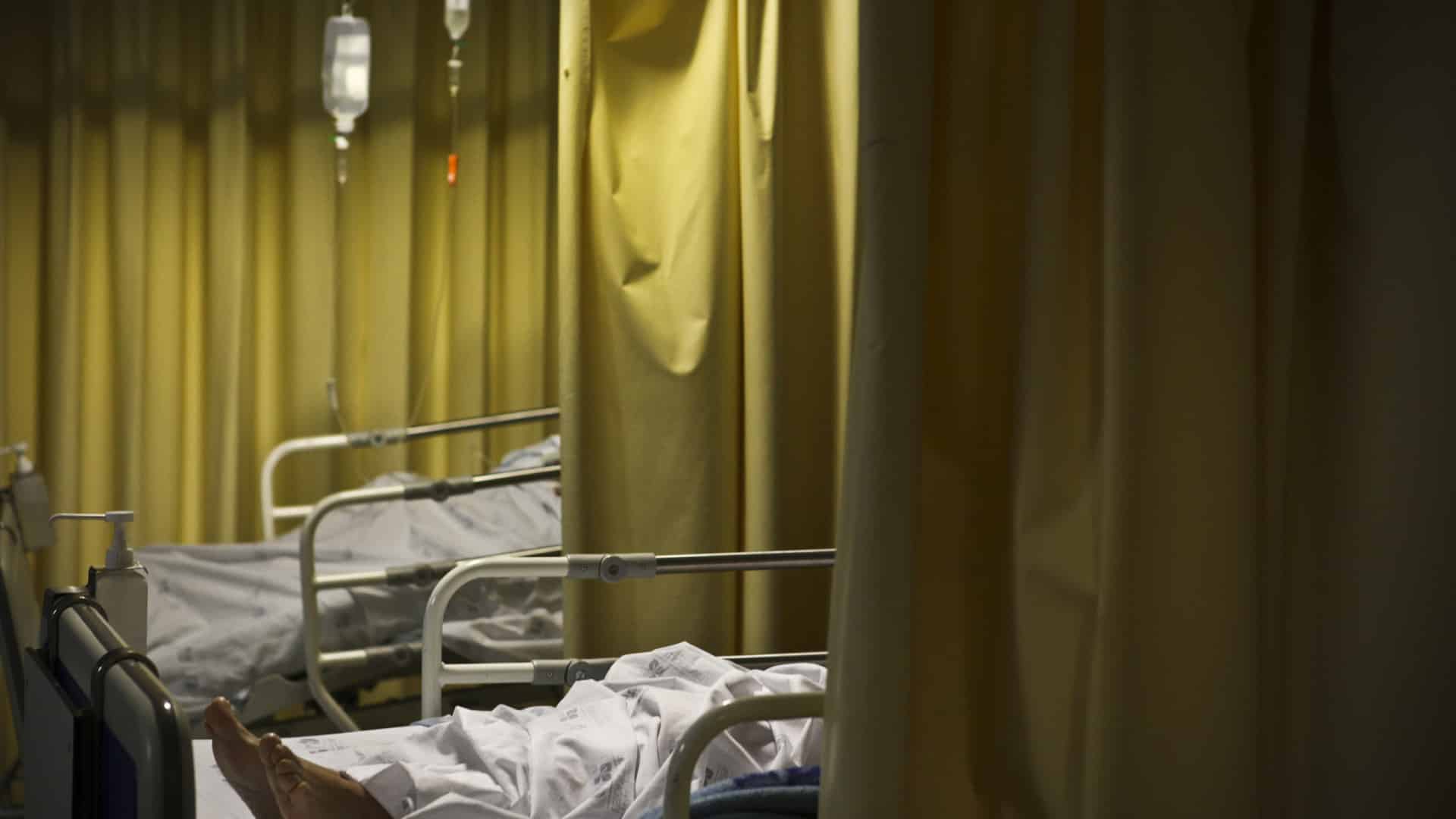 La durabilité du SNS a diminué en 2024. C'est la troisième plus grande baisse de la décennie.