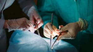 La modification de la loi permettrait d'augmenter de 30 % les organes pour les transplantations.