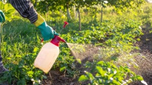 L'ASAE saisit 170 unités de produits phytopharmaceutiques au niveau national.