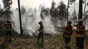 Le combat contre les flammes évolue favorablement à Mangualde.
