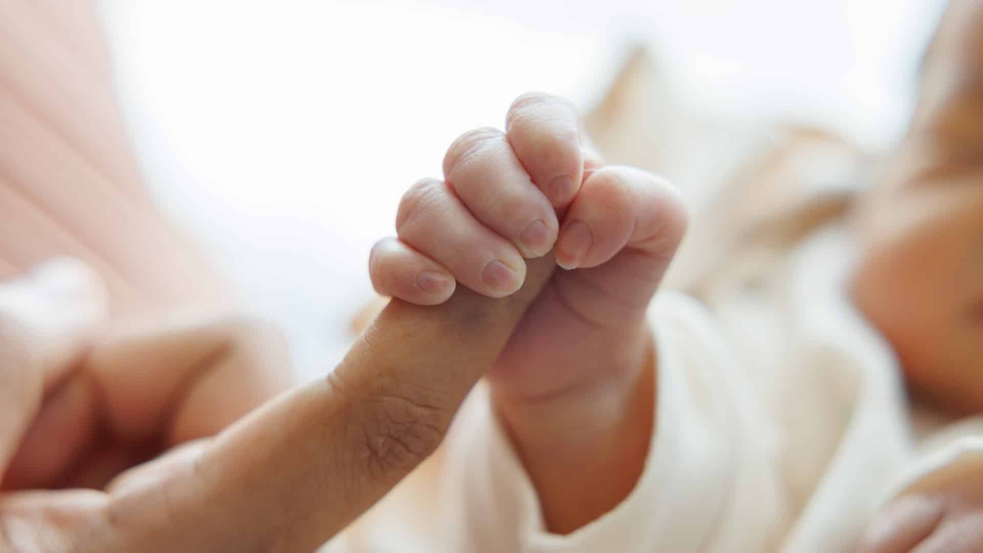 Le gouvernement approuve le décret pour réglementer l'attribution de l'allocation prénatale.