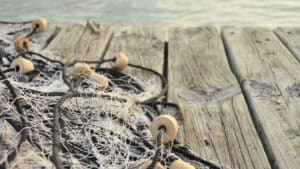 Le gouvernement renforce la surveillance de la période d'arrêt de la pêche au poulpe.