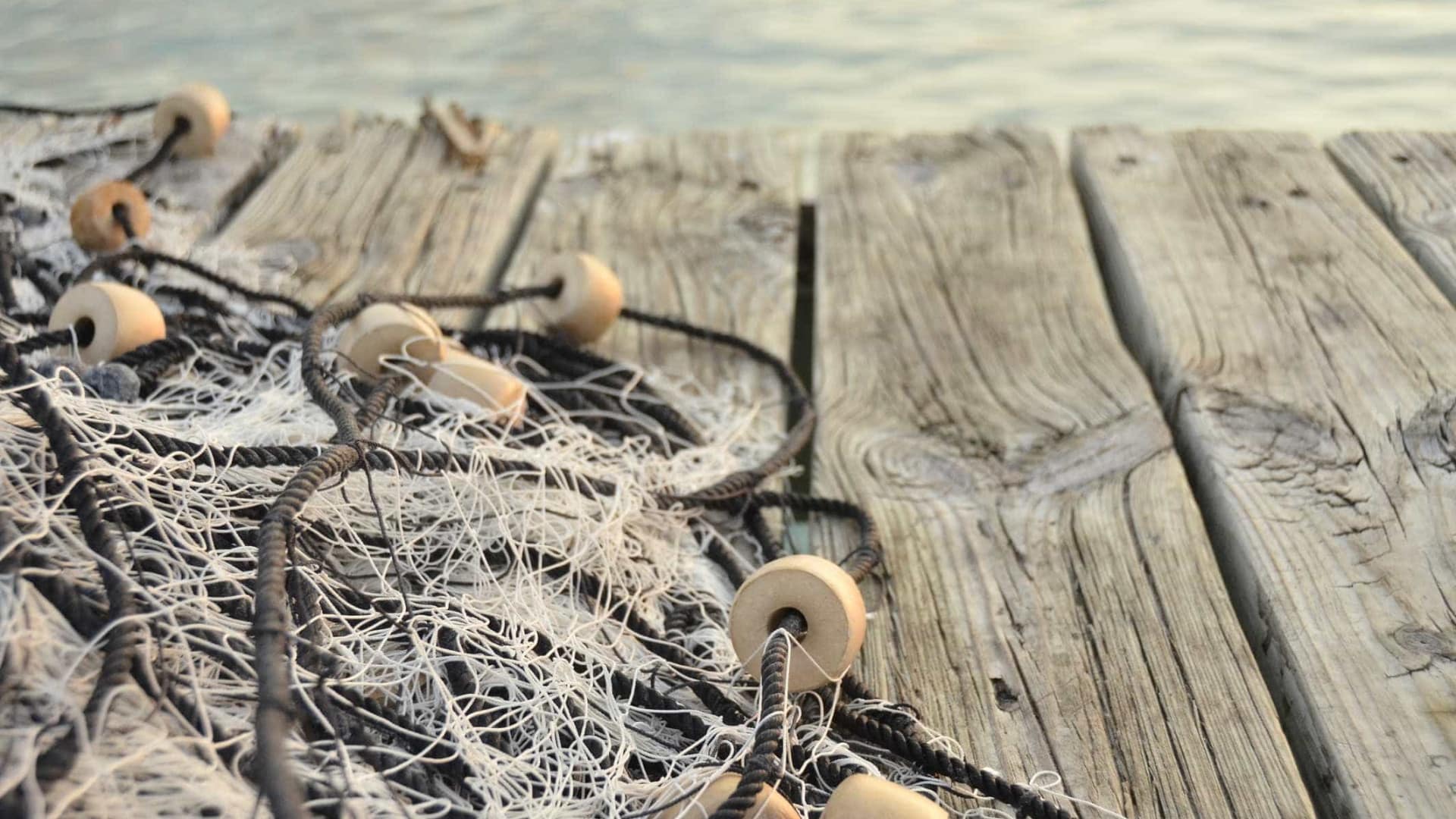 Le gouvernement renforce la surveillance de la période d'arrêt de la pêche au poulpe.