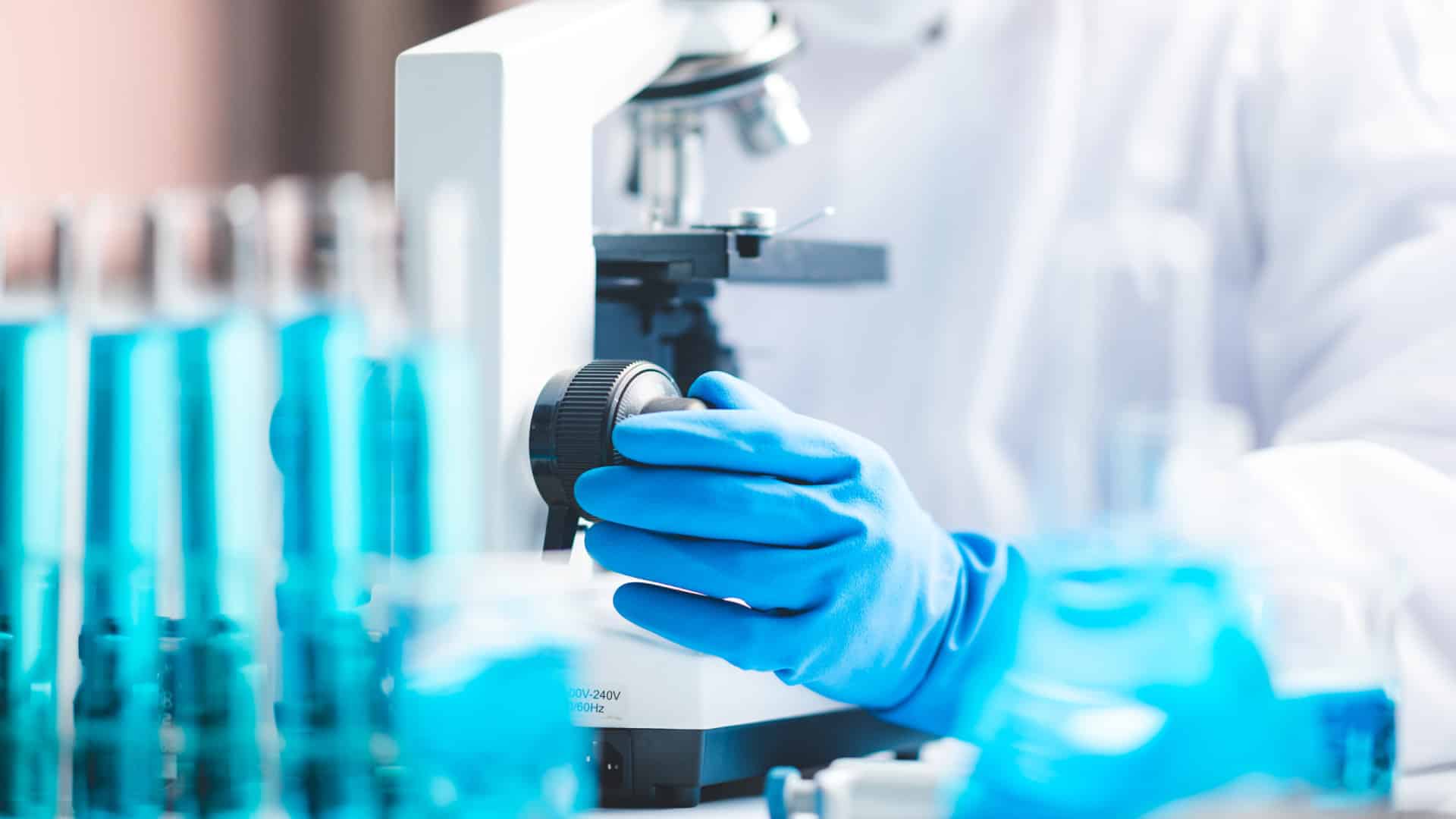 Le Portugal avec deux médailles de bronze aux Olympiades de biologie.