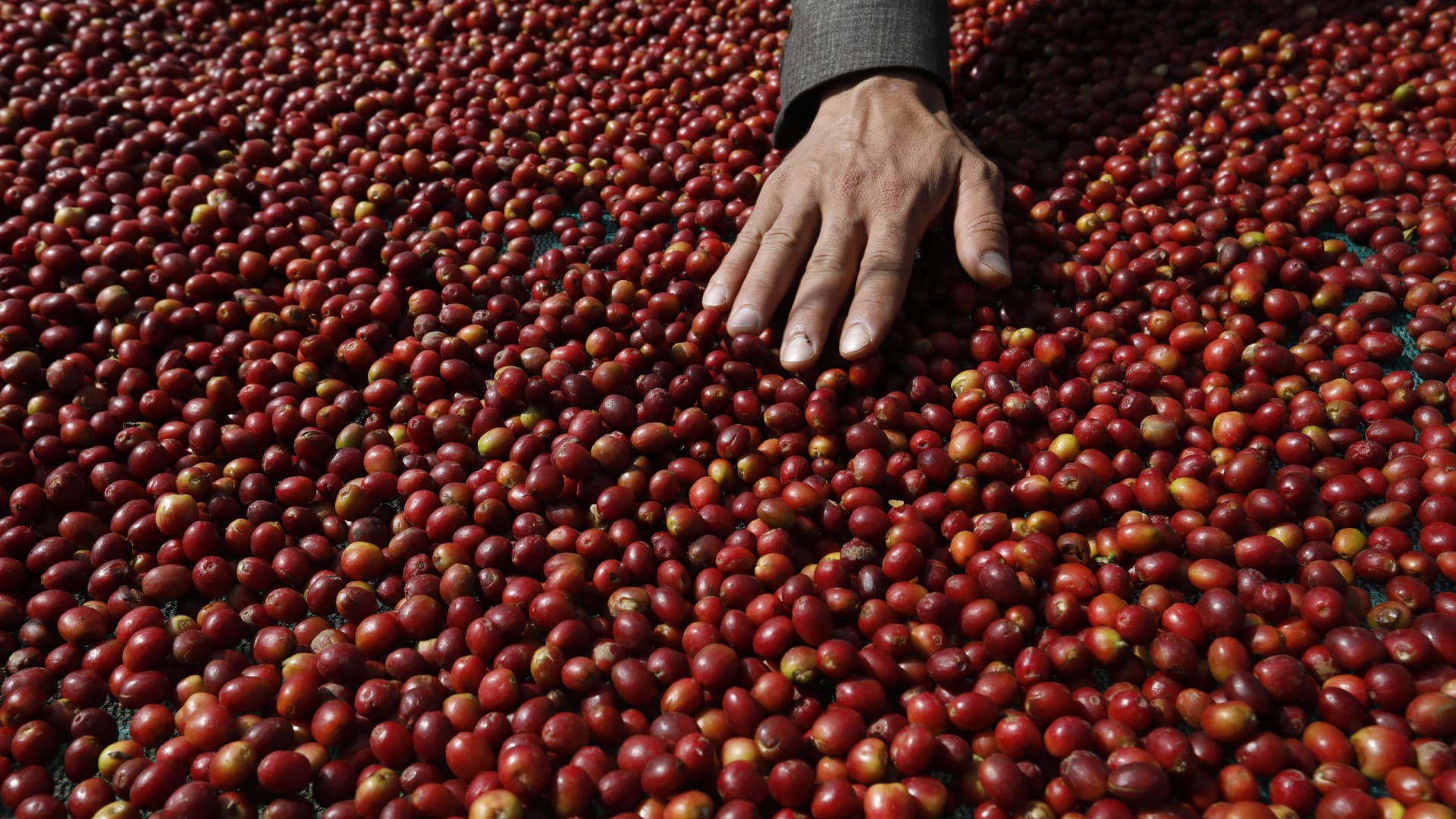 Le prix du café augmente après que Washington menace d'imposer une taxe supplémentaire.