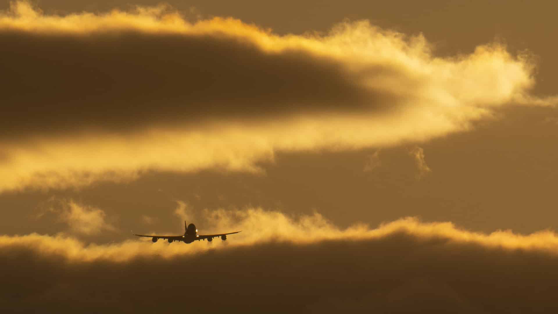 Le SNPVAC critique la tentative du gouvernement de "diminuer" la force des grèves.