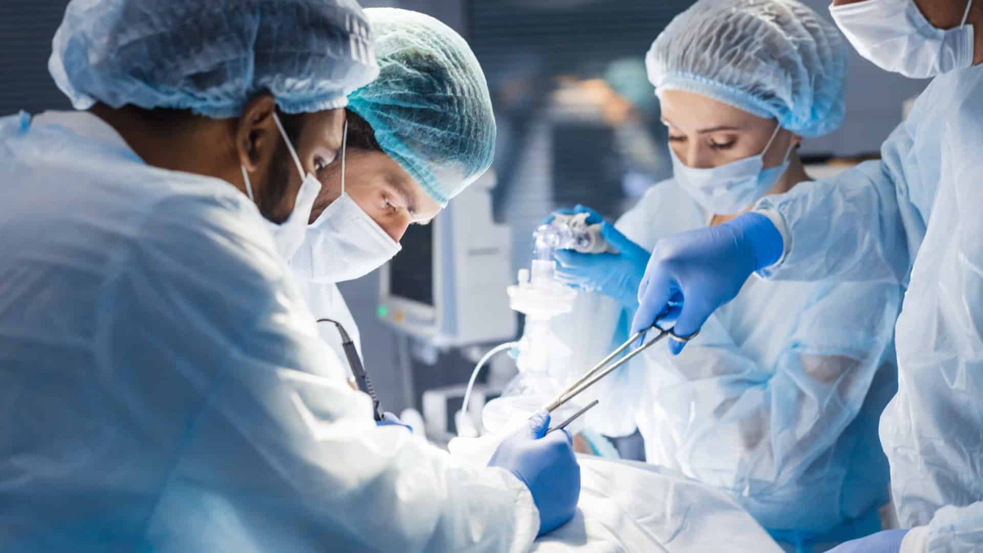 Le SNS remercie et note : "Toutes les personnes sont des donneurs potentiels d'organes"