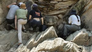 Les archéologues enquêtent sur la présence humaine dans la vallée du Côa.