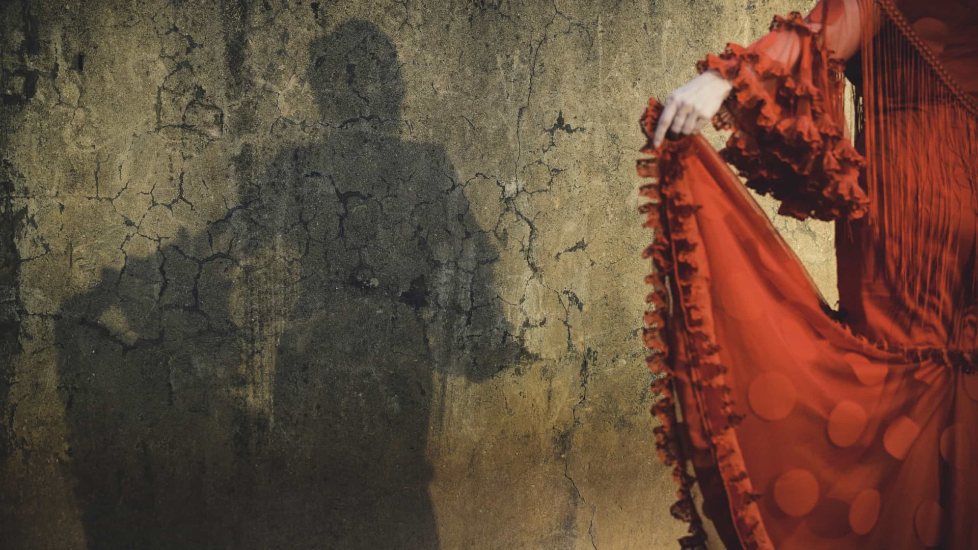 Les associations de soutien aux gitans se plaignent du manque de fonds pour les projets.