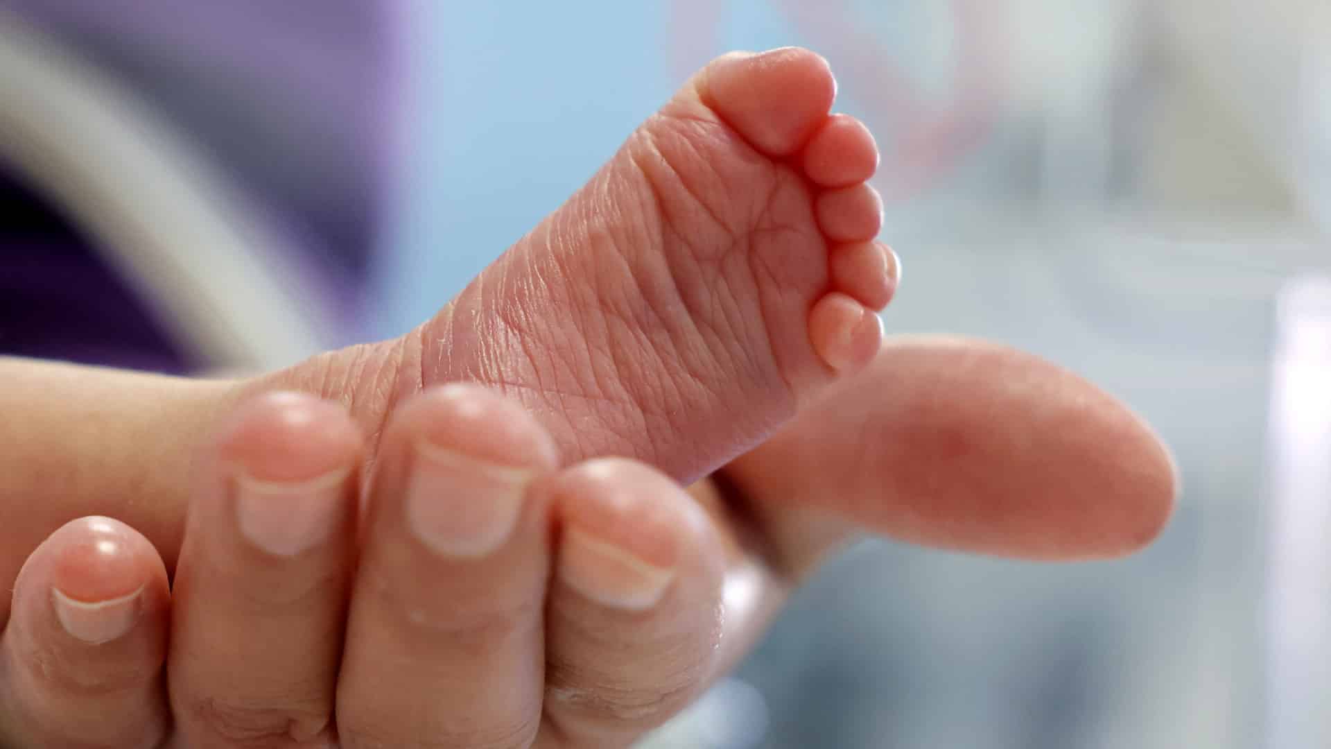 Les "tests du talon" montrent plus de naissances au 1er semestre de l'année