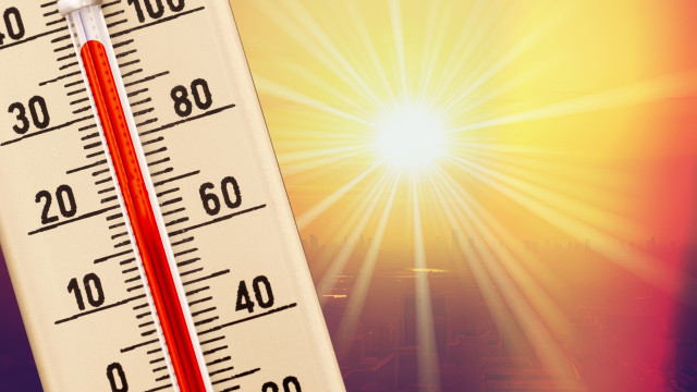 Calor veio em força 5 dicas (amigas da carteira) para uma casa fresca