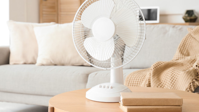 Com o calor a apertar... Seis dicas para acertar ao comprar uma ventoinha