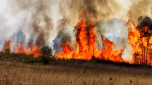 Maîtrisé un feu dans une zone de broussailles et de pâturages dans la commune d'Avis.