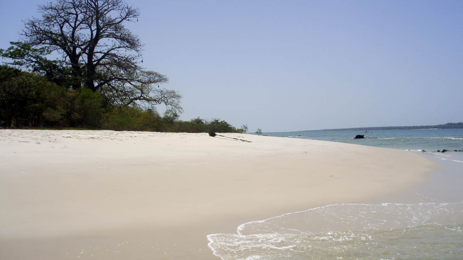 Marcelo salue l'élévation des Bijagós et du Parc National de Maputo au patrimoine mondial.