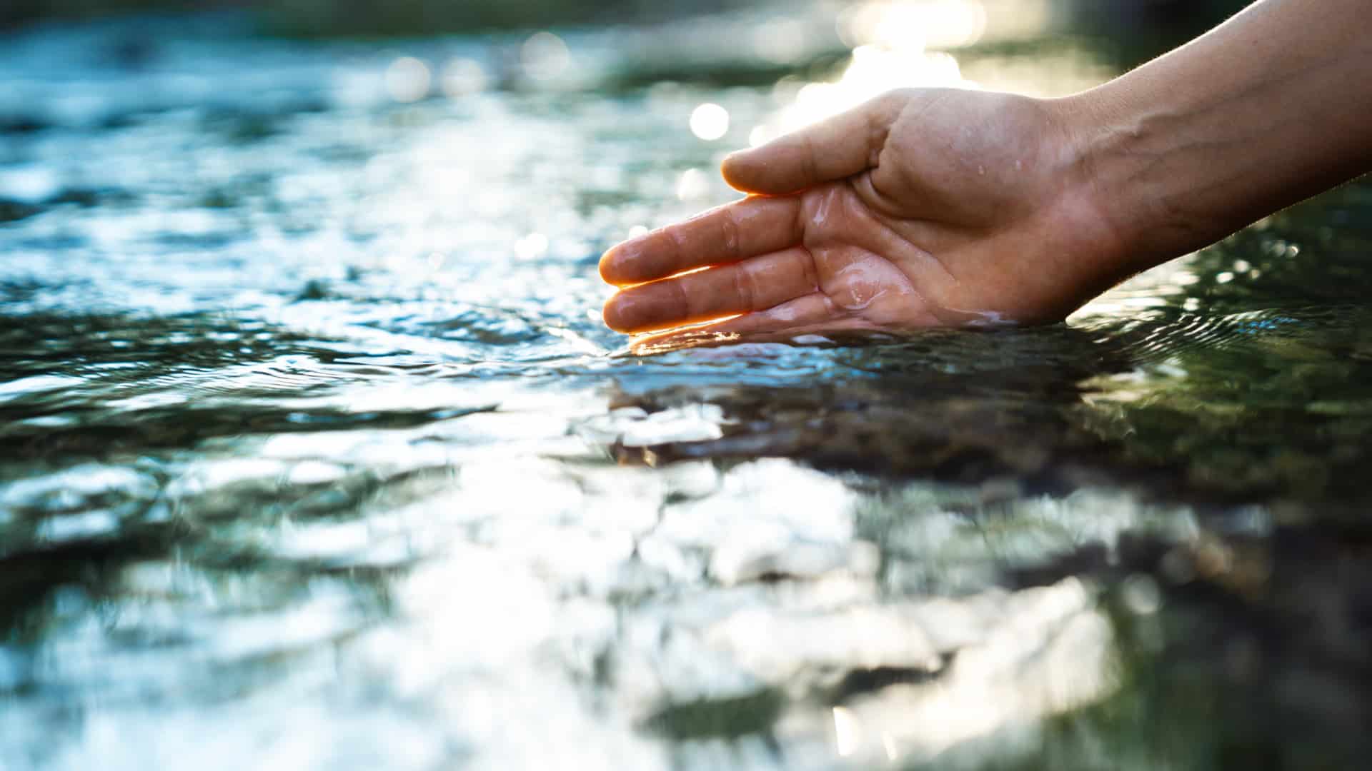Mauvaise qualité de l'eau dans la rivière Onda associée aux rejets de Lactogal.