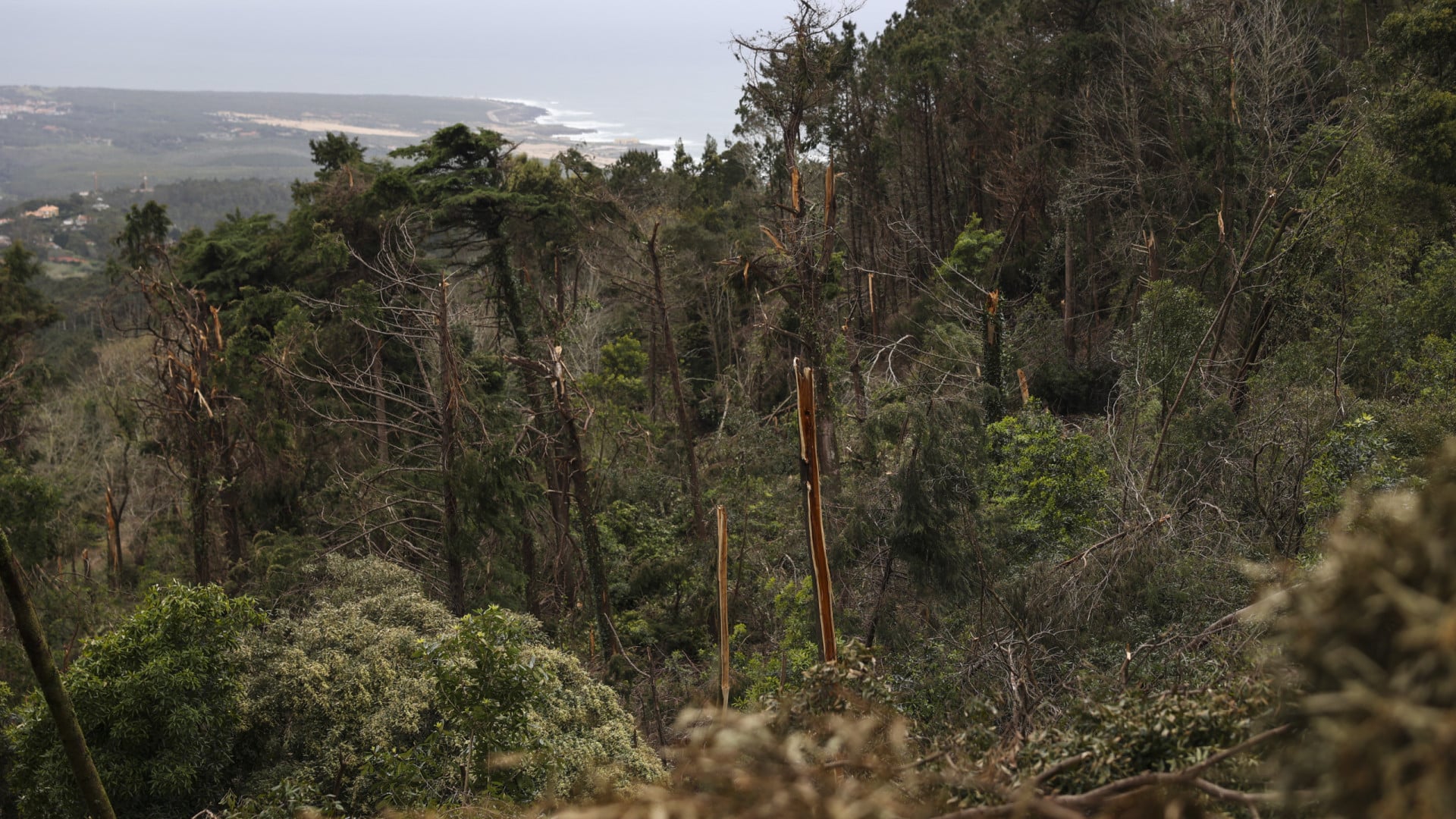 Parc Naturel Sintra-Cascais interdit dimanche