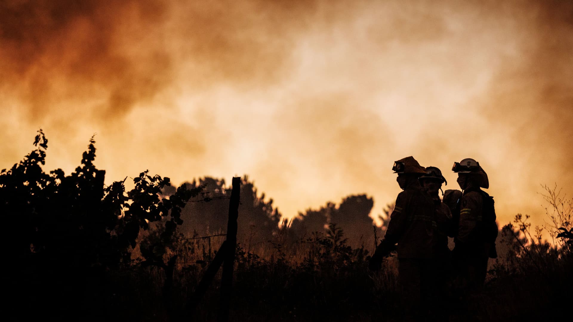Plus de 1 300 agents combattent les incendies d'Arouca, Ponte da Barca et Penamacor.