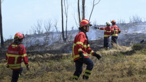 Plus de 1 600 combattent les incendies : Lesquels ne lâchent pas prise ? Et en cours de résolution ?