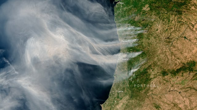 Plus de 1 700 opérateurs et 560 véhicules combattent les principaux incendies.