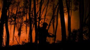 Plus de 120 opérateurs et six moyens aériens luttent contre le feu à Aljustrel.
