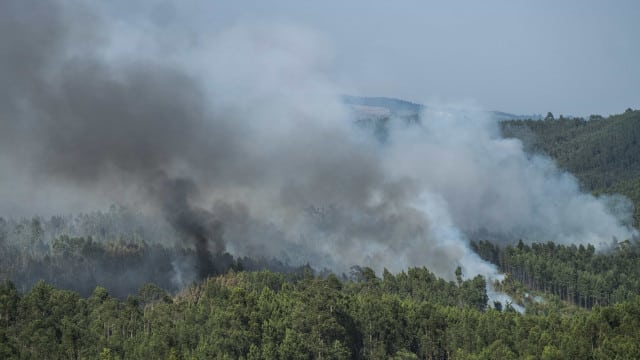 Plus de 50 communes de neuf districts en danger maximal d'incendie