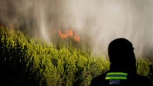 Risque d'incendies ? Cascais déclare l'alerte et Sintra ferme des monuments.
