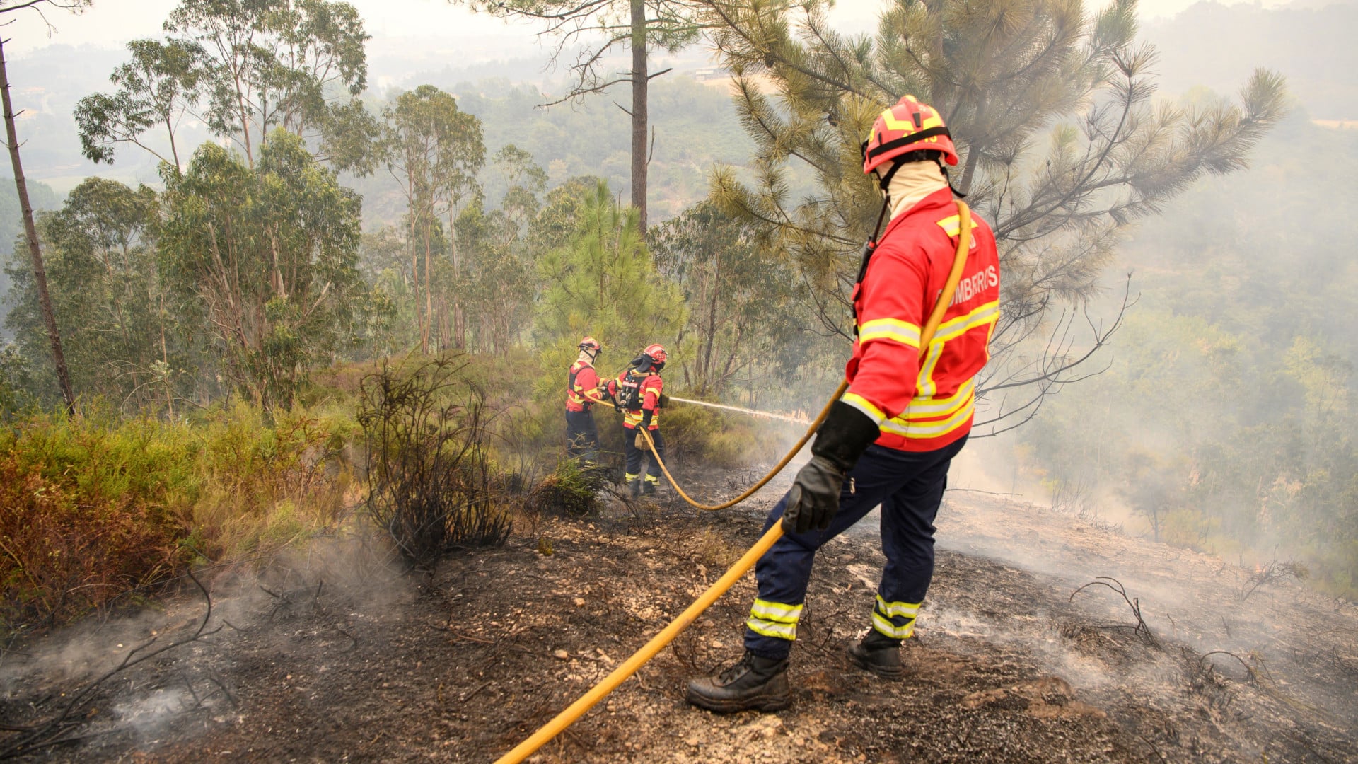 Risque maximal d'incendie rural dans le Nord intérieur et le Centre.