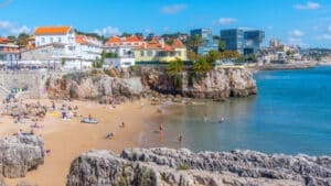 Sans enlèvement des algues invasives, Cascais pourrait déjà ne plus avoir de plages.