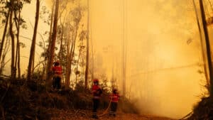 Sexagénaire arrêté pour suspicion d'avoir déclenché un incendie à Baião.