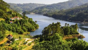 « Tout est noir » et des entreprises sont en danger en raison d'un incendie dans la Peneda-Gerês
