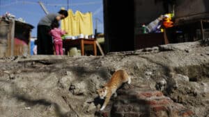 Un documentaire montre la répression des Tsiganes au fil des siècles.