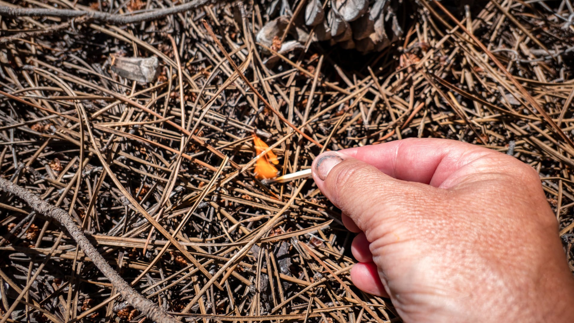 Un homme condamné à sept ans de prison pour avoir déclenché sept incendies à Odivelas.