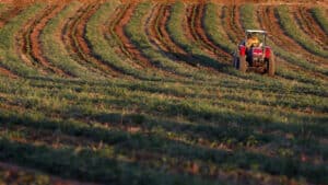 Un homme de 86 ans meurt dans le renversement d'un tracteur à Paredes de Coura.