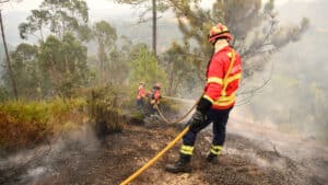 Vingt municipalités de six districts sont aujourd'hui en danger maximal d'incendie.