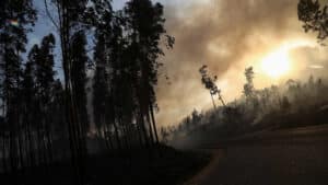 118 opérationnels combattent les flammes à Alfena à Valongo