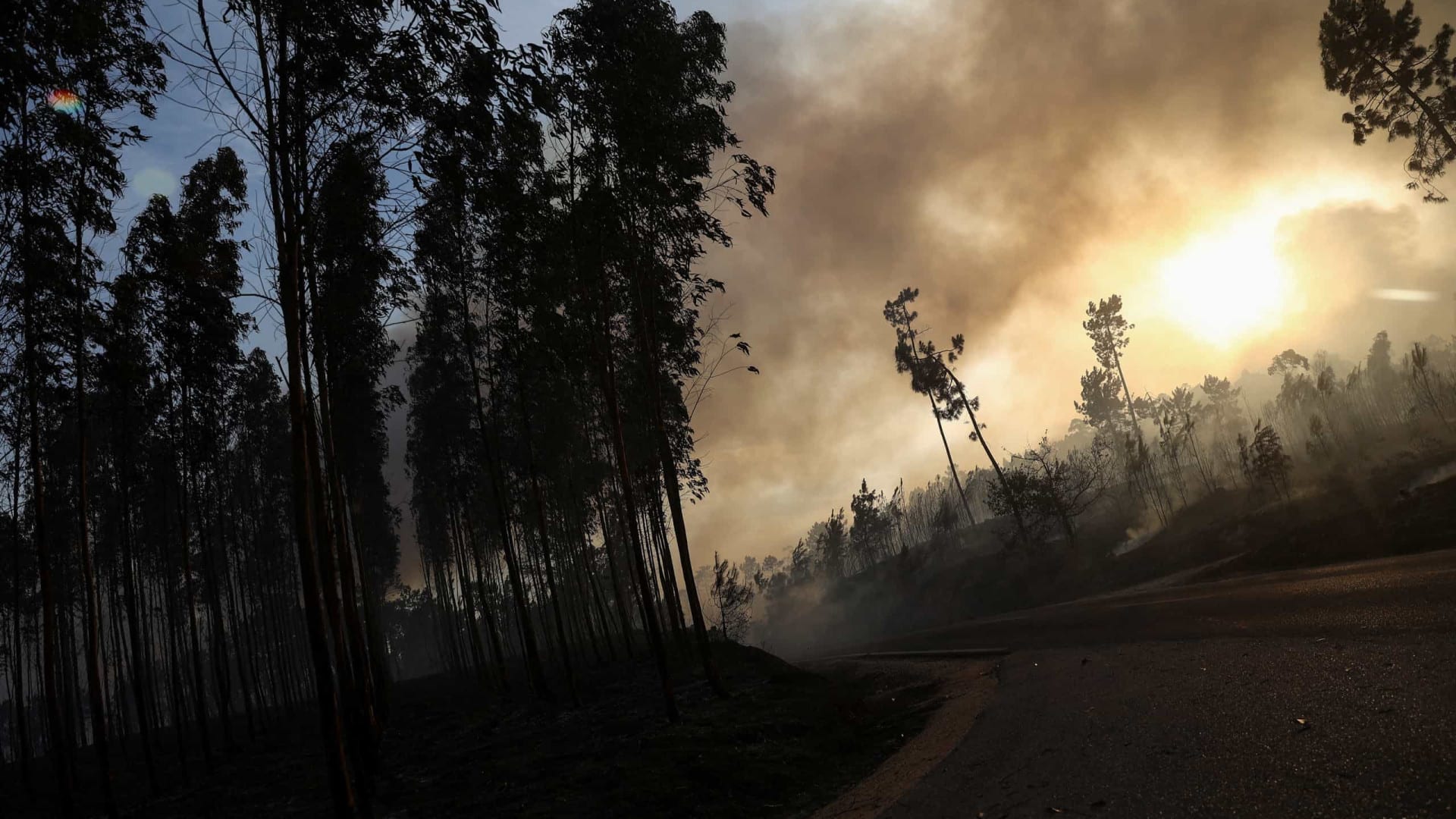 118 opérationnels combattent les flammes à Alfena à Valongo