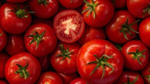 1,7 millions de tonnes : le Portugal a été le 3e plus grand producteur de tomates.